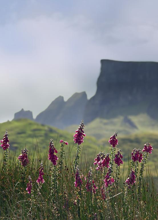 Storr Apartments Portree Exteriér fotografie